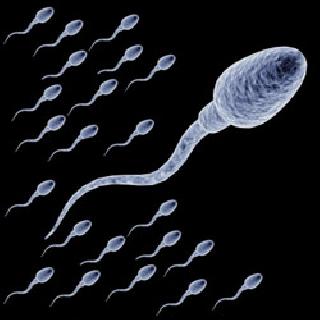 The world's oldest sperm is found | जगातील सर्वात प्राचीन शुक्राणू सापडला