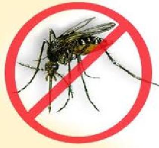 Malaria with spreads annually | दरवर्षी पसरते मलेरियाची साथ