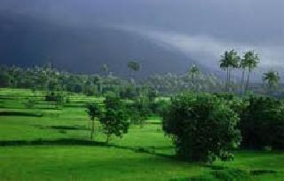 Monsoon on June 5 in Kerala! | मान्सून ५ जूनला केरळात!