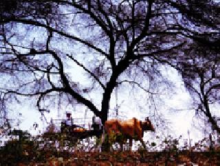 Moments of Happiness: | क्षणभराचा गारवा :