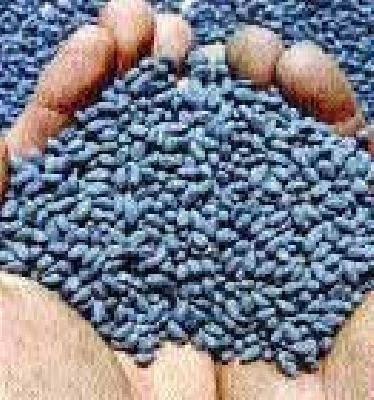 Soya bean scarcity | सोयाबीनचा तुटवडा भासणार