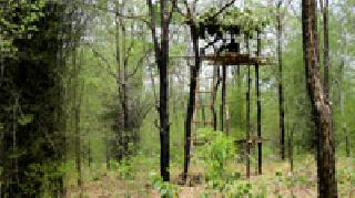 Machan: | मचाण :