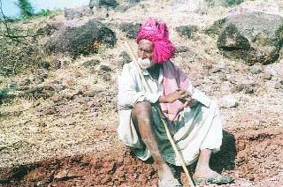 Elderly hunger for the plan gains | योजना लाभासाठी वयोवृद्धांची दमछाक