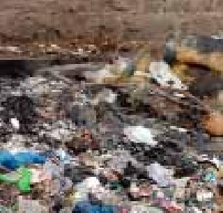 Cleanliness works | स्वच्छतेची कामे खोळंबली