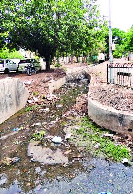 Due to the dirtiness of the rivers, the health of citizens is in danger | नाल्यांच्या अस्वच्छतेमुळे नागरिकांचे आरोग्य धोक्यात