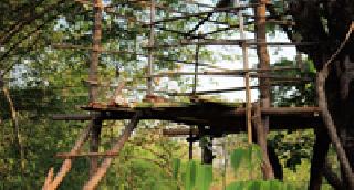 444 Wildlife Count in Pawni Wildlife | पवनी अभयारण्यात ४४४ वन्यप्राण्यांची गणना 444 Wildlife Count in Pawni Wildlife | पवनी अभयारण्यात ४४४ वन्यप्राण्यांची गणना