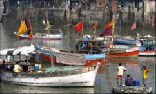 Arnala navigation they are dangerous | अर्नाळा नेव्हिगेशन वे धोकादायक