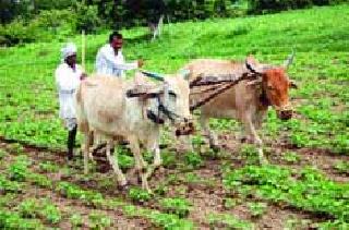 The farmers will be able to get electricity | शेतकर्‍यांंचे वीजबिल होणार माफ