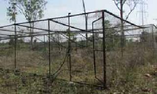 ShadeNet Disease in Agriculture Clinic | कृषी चिकित्सालयातील शेडनेटची दुरवस्था