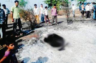 Murder on Anjangaan road, mystery remained intriguing | अंजनगाव मार्गावर हत्या, गूढ कायम