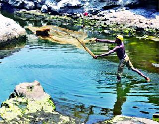 Reduce water, fatty fish: | पाणी कमी, मासेमारी जोरात :