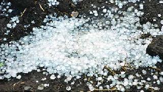 7 lacs funds to hailstorms | गारपीटग्रस्तांना ७ लाखांचा निधी
