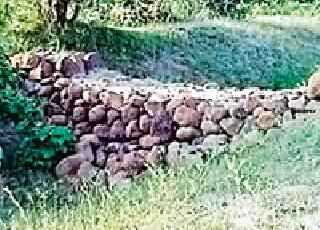 Bogus bunds in the name of wildlife | वन्यजीवांच्या नावाखाली बोगस बंधारे