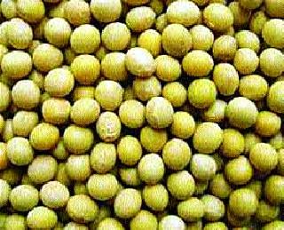 Reduce the scarcity of soybean seeds | सोयाबीन बियाणांचा तुटवडा कमी करा