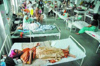 Dengue-infected patients have increased | डेंग्यूसदृश आजाराचे रुग्ण वाढले Dengue-infected patients have increased | डेंग्यूसदृश आजाराचे रुग्ण वाढले