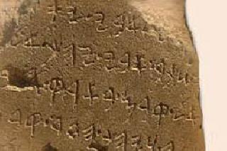 Washim's history waiting for excavation! | वाशिमचा इतिहास उत्खननाच्या प्रतीक्षेत!