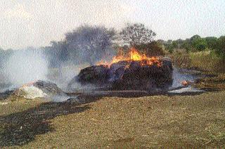 Fire extinguisher in Chandan Savargaon | चंदन सावरगावात आगीचे तांडव Fire extinguisher in Chandan Savargaon | चंदन सावरगावात आगीचे तांडव