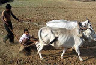 Objective of loan disbursement of 146 crores | १४६ कोटींच्या कर्जवाटपाचे उद्दिष्ट