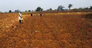 Lesson to the farmers of the district | जिल्ह्यातील शेतकर्‍यांची धुळ पेरणीकडे पाठ