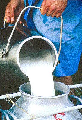 Banned plastic and rusty brand for milk | दुधासाठी प्लास्टिक व गंजणार्‍या भांड्यावर बंदी