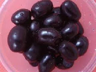 On the way back to Rannimava | रानमेवा परतण्याच्या मार्गावर