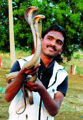 Prasad gives life to seven thousand snakes | सात हजारांवर सापांना दिले प्रसादने जीवदान Prasad gives life to seven thousand snakes | सात हजारांवर सापांना दिले प्रसादने जीवदान