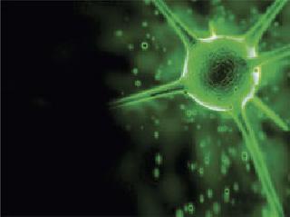 Viriologist - Who Research on Viral Infection? | व्हिरीओलॉजिस्ट - व्हायरल इन्फेक्शनवर संशोधन करतं कोण? Viriologist - Who Research on Viral Infection? | व्हिरीओलॉजिस्ट - व्हायरल इन्फेक्शनवर संशोधन करतं कोण?