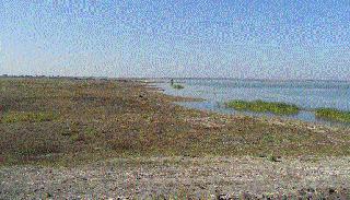 The project is dry and dry | प्रकल्पांच्याच घशाला कोरड