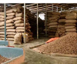 Food security insecure grains | अन्न सुरक्षेचे धान्य असुरक्षित