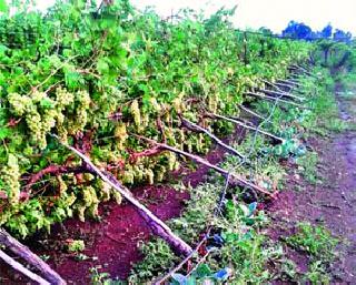 Embarrassed farmers | शेतकर्‍यांनी तीव्र नाराजी