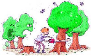 Khokanak slaughter of trees | झाडांची हकनाक कत्तल