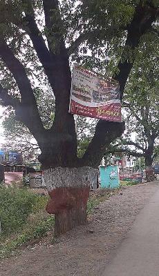 Promotional trees | जाहिरातबाजी झाडांच्या मुळावर