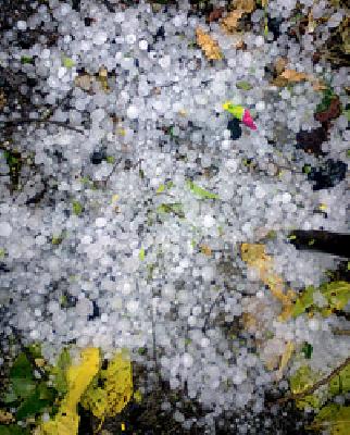 28 percent allocated 91 percent | २८ टक्के वाटप दाखविला ९१ टक्के