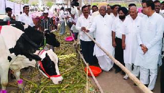 Grant to the 'Free Cow Gosa' project | ‘मुक्त गाय गोठा’ प्रकल्पाला अनुदान