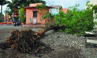 Windy rain in Shevgaon | शेवगावमध्ये वादळी पाऊस