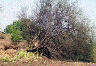 Panchnama in damaged areas in the district | जिल्ह्यात नुकसानग्रस्त भागातील पंचनामे