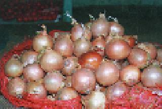 In the parner, the onion has increased by Rs 300 | पारनेरमध्ये कांद्याला तीनशे रुपयांनी वाढ