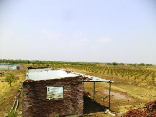 Second victim of survival | राहुरीत दुसरा बळी