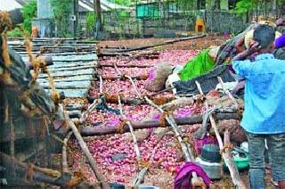 Lassalgaon, Windy rain in Nandgaon | लासलगाव, नांदगावला वादळी पाऊस Lassalgaon, Windy rain in Nandgaon | लासलगाव, नांदगावला वादळी पाऊस