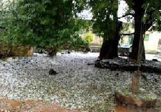 Hailstorm subsidy dust in the eyes of the masses | गारपीट अनुदान जनतेच्या डोळ्यात धूळफेक