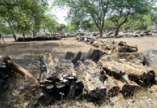 Wood scum | लाकडे कुजली