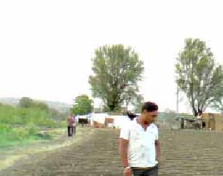 Economic prosperity due to the Duck Revolution | ठिबकाच्या क्रांतीमुळे आर्थिक समृद्धी