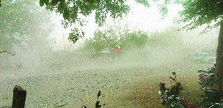 Rain with windy wind in the district | जिल्ह्यात वादळी वाऱ्यासह पाऊस