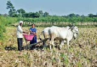 Agricultural department is ready for Kharif season | खरीप हंगामासाठी कृषी विभाग सज्ज
