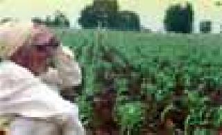 The eyes of the farmers towards the rain | शेतकऱ्यांचे पावसाकडे डोळे