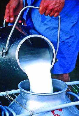 South district's milk collection increases | दक्षिण जिल्ह्याच्या दूध संकलनात वाढ