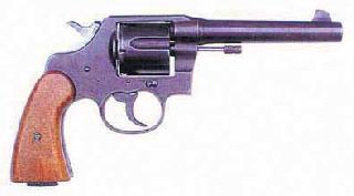 A bullet shot from a Congress office-bearer's revolver | काँग्रेस पदाधिकाऱ्याच्या रिव्हॉल्व्हरमधून गोळी सुटली