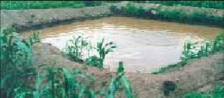 Grant the farming to those 'farmers' | ‘त्या’ शेतकऱ्यांना शेततळे मंजूर करा