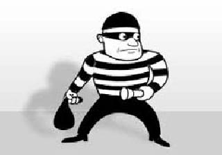 On the Accelerated Highway, 75 thousand rupees were left to the lion | द्रुतगती महामार्गावर चोरीत ७५ हजारांचा ऐवज लंपास