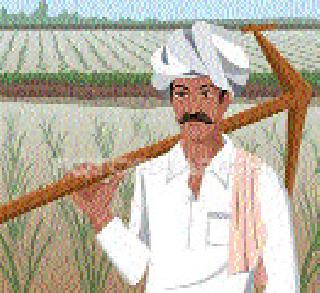 Sacrifices worried because there is no rain | पाऊस नसल्याने बळीराजा चिंतित